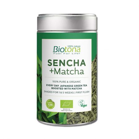 Sencha + Matcha